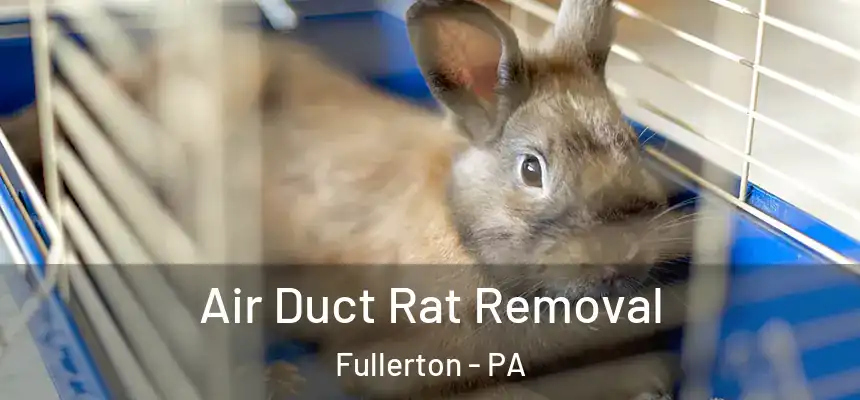  Air Duct Rat Removal Fullerton - PA
