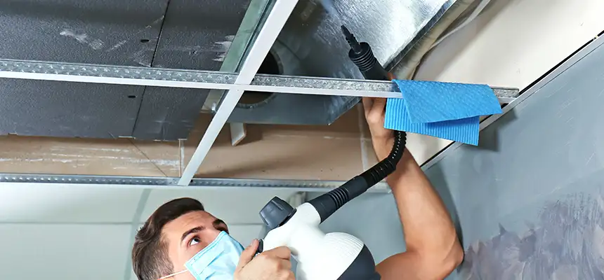 Our Air Duct Rodent Removal Services in Fullerton, PA
