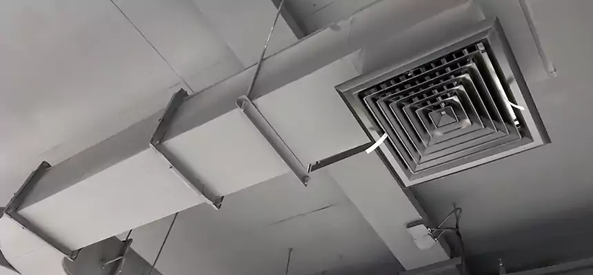 Restorative Allergy Relief Vent Cleaning – Coil, Blower & Housing Detail in Fullerton