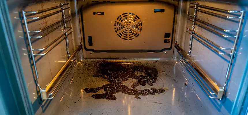 Our Dryer Vent Mold Cleaning Services in Fullerton, PA