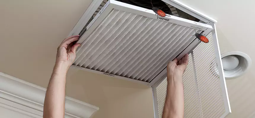 Our Insect Removal from Air Ducts Services in Fullerton, PA