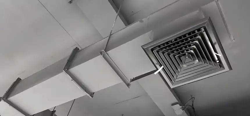 Our Rodent Droppings In Vents Services in Fullerton, PA