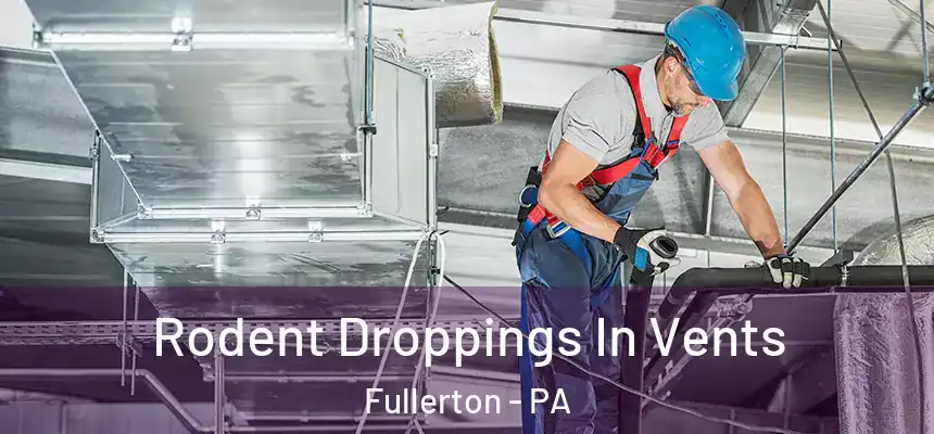  Rodent Droppings In Vents Fullerton - PA
