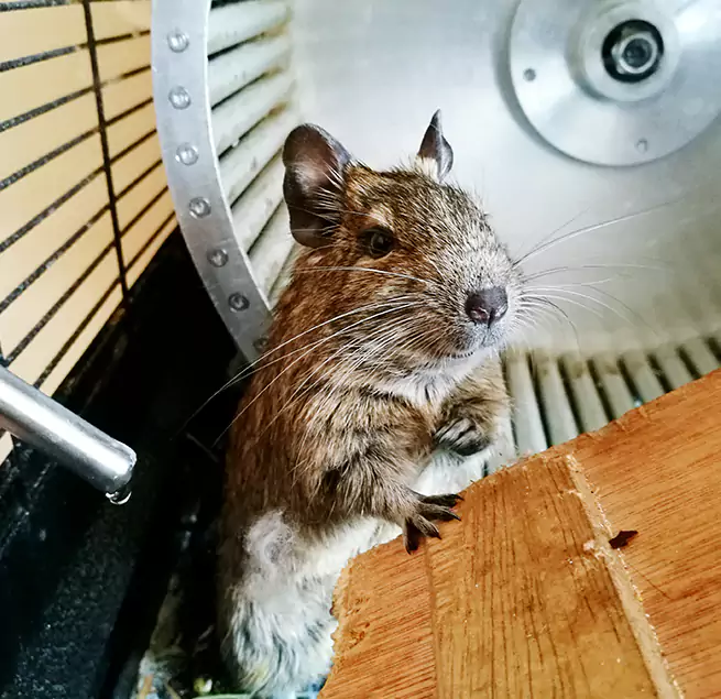 Why Homeowners & Businesses Trust Us Fullerton, PA?